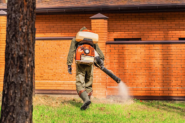 Trusted Cockroach Control service in Orchard Hills, PA - Nex Pest Control